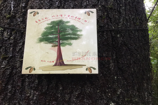 景區(qū)標(biāo)識(shí)色彩 景區(qū)標(biāo)識(shí)色彩